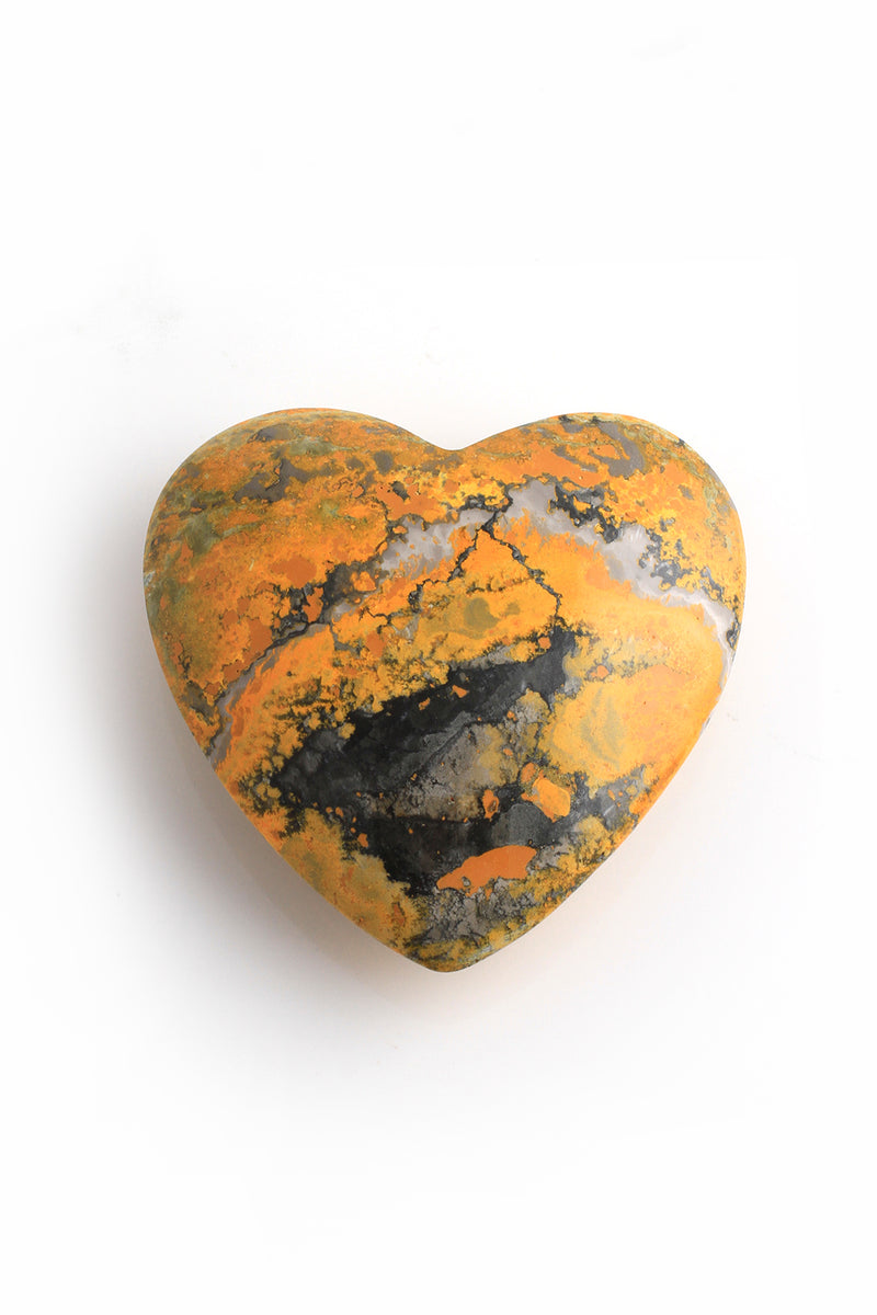 Bumble Bee Jasper Hearts Bumble Bee Jasper Hearts