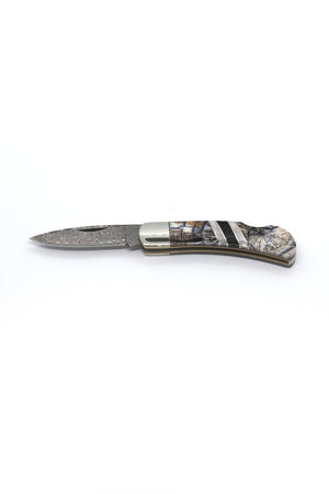 Mammoth Tusk and Damascus Steel Knife