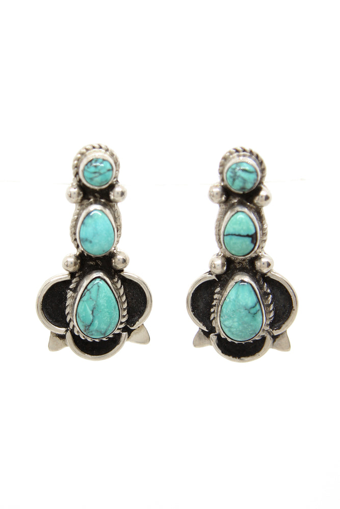 
                
                    Load image into Gallery viewer, Delgarito Green Turquoise Post Earrings
                
            