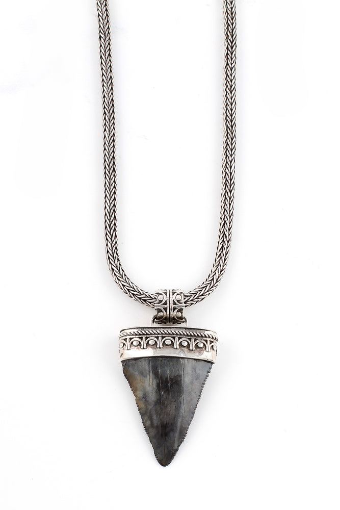 Large Fossilized Great White Shark Tooth Pendant – Silver Eagle Gallery