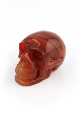 
                
                    Load image into Gallery viewer, Carnelian Crystal Skull
                
            