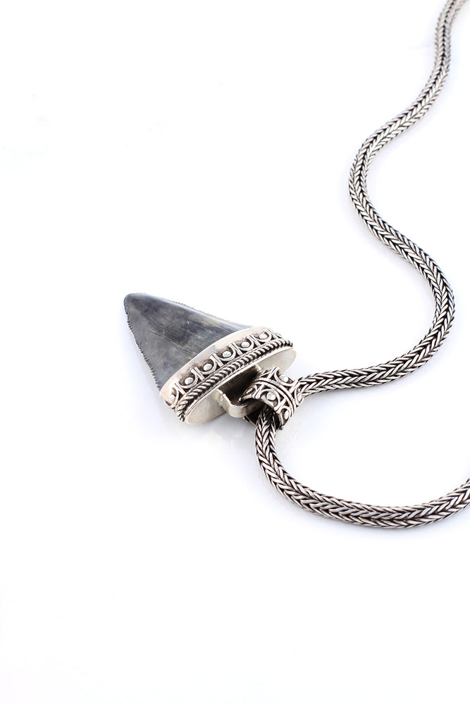 Large Fossilized Great White Shark Tooth Pendant – Silver Eagle Gallery