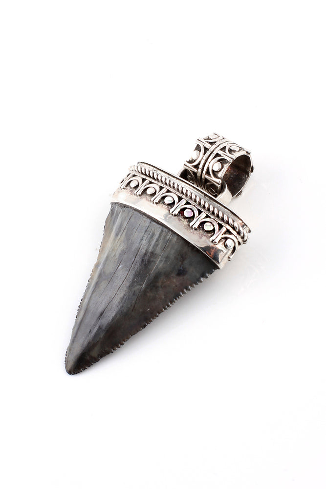 
                
                    Load image into Gallery viewer, Large Fossilized Great White Shark Tooth Pendant
                
            