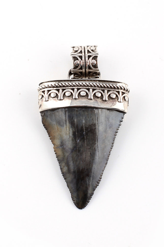 
                
                    Load image into Gallery viewer, Large Fossilized Great White Shark Tooth Pendant
                
            