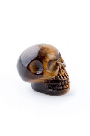 
                
                    Load image into Gallery viewer, Tiny Tiger&amp;#39;s Eye Crystal Skull
                
            