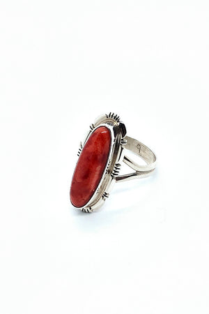 
                
                    Load image into Gallery viewer, Red Spiny Shell Ring (Size 8 ½)
                
            