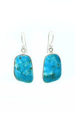 Freeform Blue Turquoise Earrings