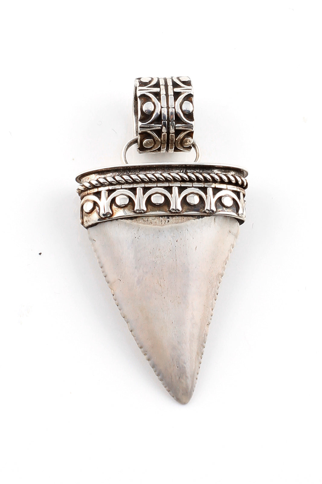 Fossilized Great White Shark Tooth Pendant – Silver Eagle Gallery