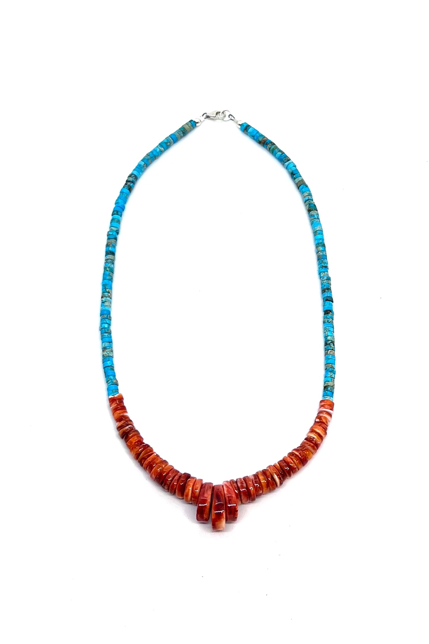 spiny-shell-turquoise-santo-  